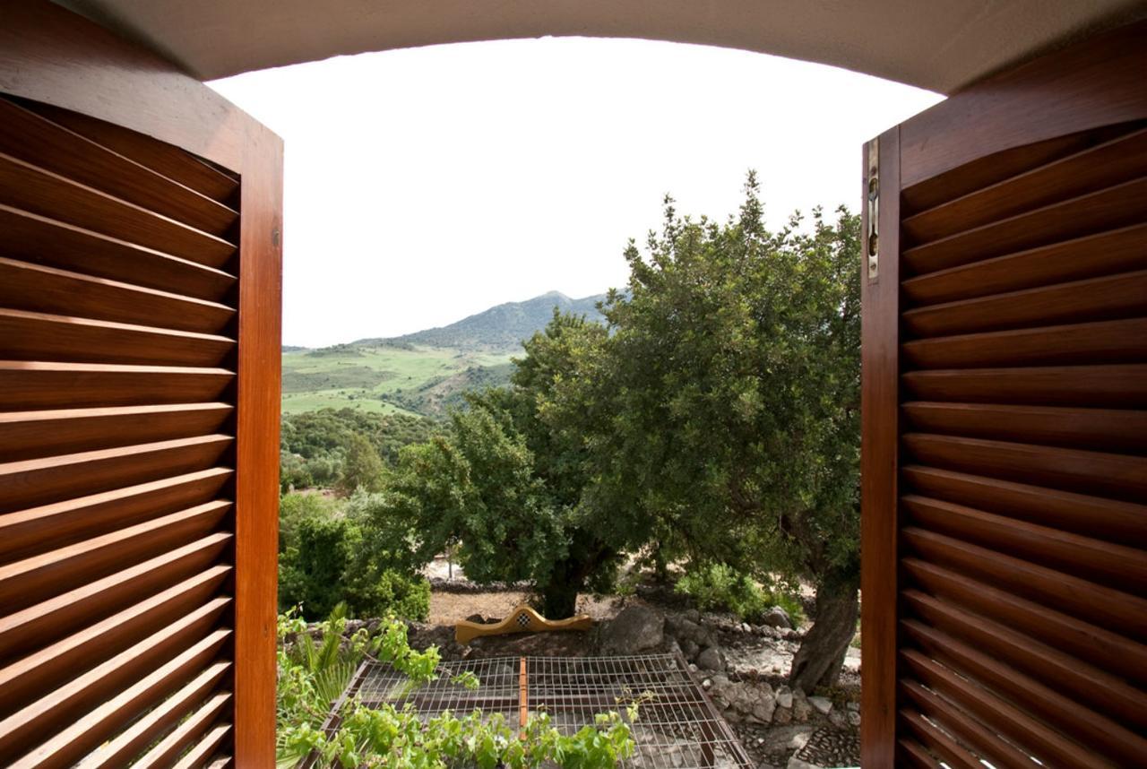 Casas Rurales Los Algarrobales El Gastor Exterior foto