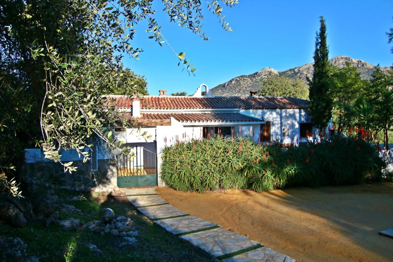 Casas Rurales Los Algarrobales El Gastor Exterior foto