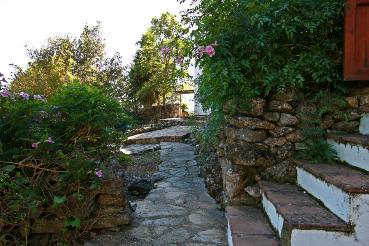 Casas Rurales Los Algarrobales El Gastor Exterior foto