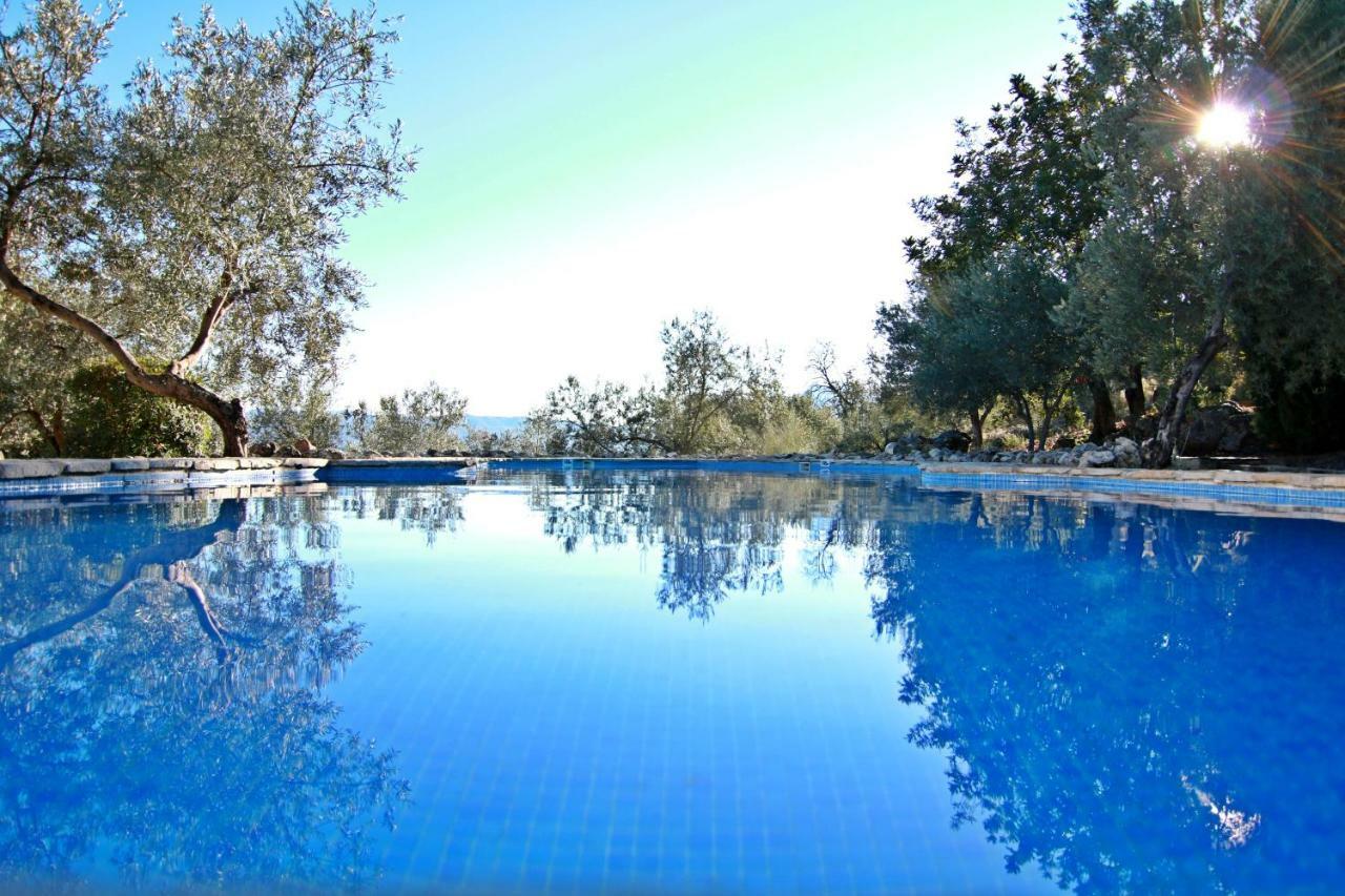 Casas Rurales Los Algarrobales El Gastor Exterior foto