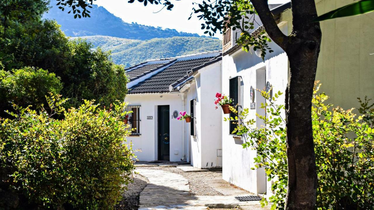 Casas Rurales Los Algarrobales El Gastor Exterior foto