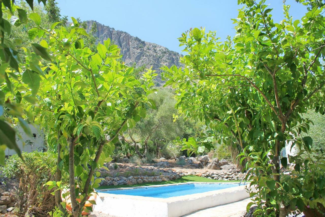 Casas Rurales Los Algarrobales El Gastor Exterior foto