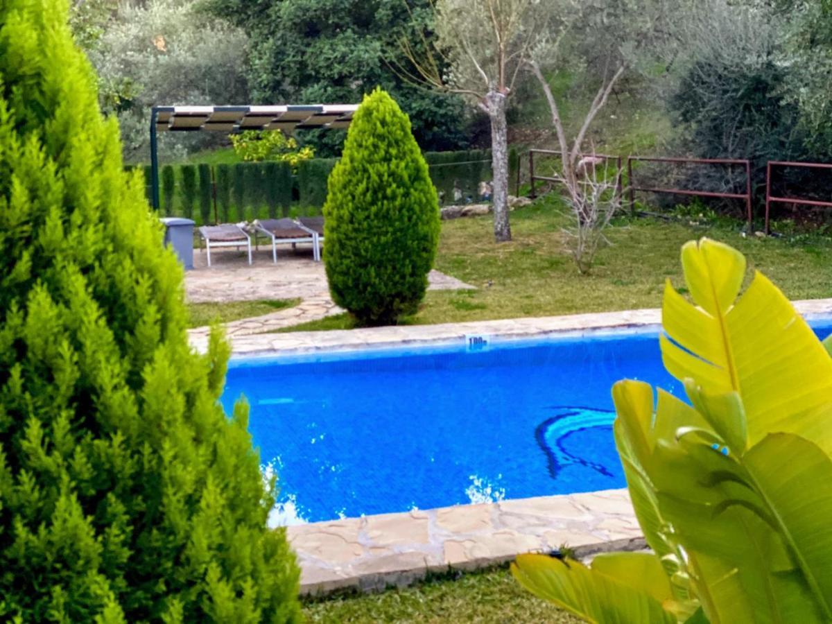 Casas Rurales Los Algarrobales El Gastor Exterior foto